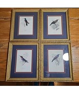 Lot Of 4 Trochilus Hummingbird Framed Prints Jardin&#39;s Naturalists Librar... - $89.05