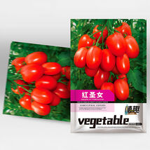 Easy to Grow Elegance: 5 Bags (200 Seeds / Bag) of Red Saint Cherry Toma... - $15.00