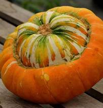 10 Ct Seeds Turk&#39;s Turban Gourd Curbita Maxima NON-GMO Heirloom - £10.38 GBP