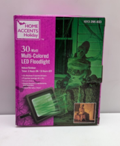 Home Accents Holiday 6.2x4.8 Indoor/Outdoor 30-Watt Multi-Colored LED Fl... - $23.51