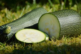 Zucchini- Black Beauty 20 Seeds -Heirloom Vegetable --Squash Great Taste  - £3.19 GBP