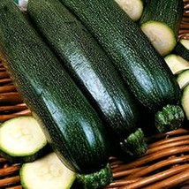 Squash,Squash Long Dark Green Seeds, Heirloom, Organic, 20 Seeds, Non GMO - £1.56 GBP