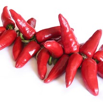 Basque Pimento De Espelette The Famous Basque Region Pepper Usa Seller Garden - £9.91 GBP