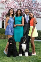 Barrack Obama &amp; Michelle Obama 8x10 Glossy Photo - £7.17 GBP