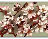 Almond Flower Blossoms on Branch UNP DB Postcard Z5 - £2.30 GBP