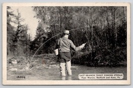 East Branch Trout Fishing Stream Near Warren, Sheffield And Kane PA Postcard X29 - £11.73 GBP