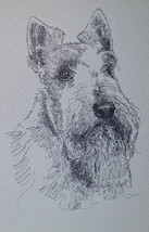 Scottish Terrier Dog Art Portrait Print #236 Kline adds your dogs name f... - $49.45