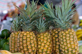 Seeds USA Seller 15 Hilo Pineapple Seeds Planting - £8.46 GBP