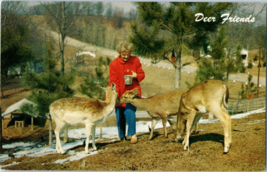 Woman Feeding Deer in the Countryside as Snow Melts Postcard - £5.43 GBP