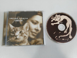 Amparo Sandino el año del gato CD 1999 Dro East West Deutsch Edition - $9.81