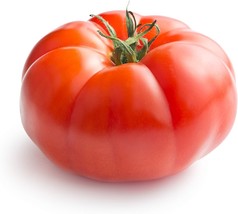 Super Beefsteak Tomato Seeds | Heirloom / Slicing | Non-GMO | Free Shipping - $1.89+