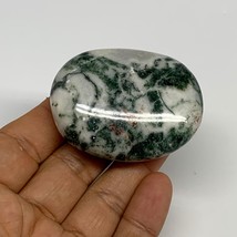 71.7g, 2.2&quot;x1.7&quot;x0.8&quot;, Tree Agate Palm-Stone Reiki Energy Crystal Reiki, B29487 - £6.69 GBP
