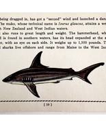Mako Shark 1939 Salt Water Fish Art Gordon Ertz Color Plate Print PCBG19 - $40.83 CAD