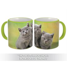 Cat : Gift Mug Cute Animal Kitten Funny Friend Persian Grey - £12.57 GBP