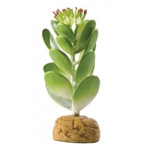 Exo Terra Desert Jade Cactus Terrarium Plant - £11.92 GBP