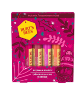 Burt&#39;s Bees Beeswax Bounty Lip Balm Holiday Gift Set Fruit Mix 1.0set - £31.44 GBP