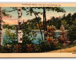 Generic Scenic Landsccape Greetings Lake Wallenpaupack PA Linen Postcard... - $3.91