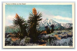 Desert Yucca In Bloom UNP Unused Linen Postcard D21 - £2.33 GBP