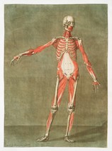 11341.Decor Poster.Home room Wall art.1750 Medical anatomy.Medical history.Body - £12.94 GBP+