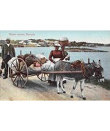 Washer Women Donkey Cart Bermuda 1910s postcard - £6.29 GBP