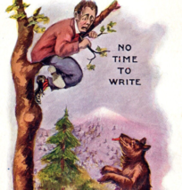 No Time To Write Bear Chased Man Up Tree Postcard Antique Vintage Humor ... - $11.00