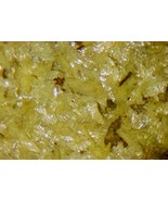 SABUGALITE - Ex. A.L. Flagg (1892-1961) - Cameron, ARIZONA - €298,70 EUR SABUGALITE - Ex. A.L. Flagg (1892-1961) - Cameron, ARIZONA - €298,70 EUR