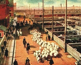 Exchange Avenue Stock Yards Chicago Illinois IL 1910 DB Postcard Robinson &amp; Co - £3.12 GBP