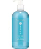 CRABTREE &amp; EVELYN Hand Wash LA SOURCE Conditioning Hand Wash 16.9 oz - $454.76 MXN