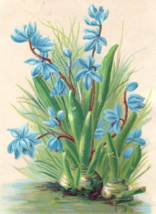 Tulip Soap Victorian Trade Card - $148.26 MXN