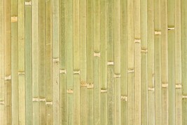 ** Sale Wall Paneling 4&#39;x8&#39; Raw Green Wainscoting Bamboo Thatch Tiki Hut Cabana - £54.81 GBP