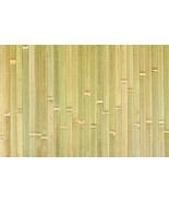 ** Sale Wall Paneling 4&#39;x8&#39; Raw Green Wainscoting Bamboo Thatch Tiki Hut... - $92.58 CAD