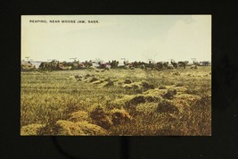 Canadian Souvenir Postcard Farming Reaping Harvesting Moose Jaw Saskatchewan - £18.35 GBP