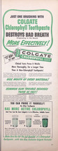 Vintage 1953 Colgate Chlorophyll Toothpaste Destroys Bad Breath Print Ad Art  - £4.31 GBP