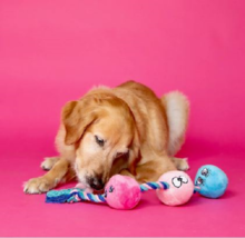SCRUFFY TUG BUTTONS ROPE BALL DOG TOY SQUEAKER - $31.67