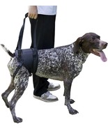 Dog Sling for Large Dogs Hind Leg Support to Help Rehabilitate (Black, S... - £17.50 GBP