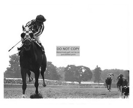 Secretariat Racehorse Ron Turcotte Winning 1973 Belmont 8X10 Photo - £6.74 GBP