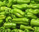 SDC Cubanelle Mild Flavor Productive Plant Easy Grow - $14.20