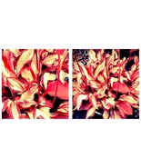 300 Seeds Eye-Catching Hosta Seeds: Red and Gold Stripe Pattern Stunning  - $23.15 CAD