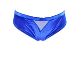 L&#39;AGENT BY AGENT PROVOCATEUR Womens Briefs Silky Elegant Blue Size S  - $19.39