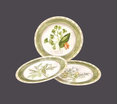 Three American Atelier Bouquet Garni 5011 stoneware salad plates. - £50.53 GBP