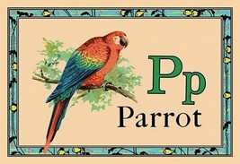 Parrot - Art Print - £17.68 GBP+