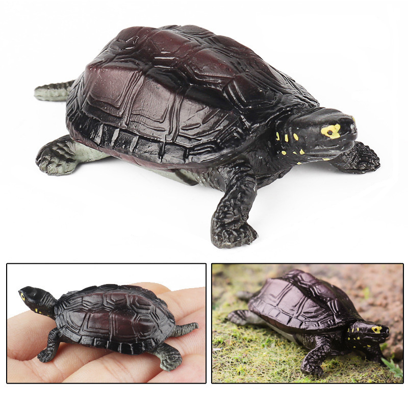 Chinese Pond Turtle Mini PVC Animal Model for Science Learning - $9.89+