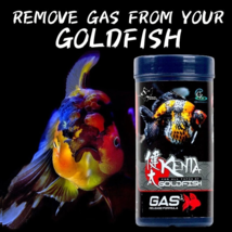 KENTA Gas Release Formula Goldfish Food Sinking Pellets With Ginger CZ AQUA - $14.84