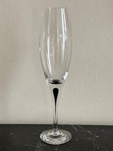 Orrefors Intermezzo Black 9 3/4&quot; Champagne Flute Glass - £38.95 GBP