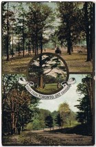 Postcard High Park From Mill Toronto Ontario Dominion Auto Sight Seeing ... - £7.89 GBP