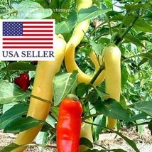 Capsicum Annuum Sweet Banana Heirloom Banana Pepper Vegetable 50 Seeds F... - $308.22 MXN