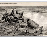 Seal Rocks San Francisco CA California B&amp;W DB Postcard W4 - $2.92