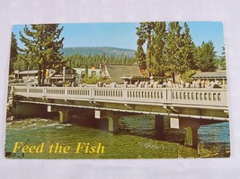 Feed The Fish &quot;Rump Row&quot; Trout Bridge &amp; River, Tahoe City California Pos... - £4.66 GBP
