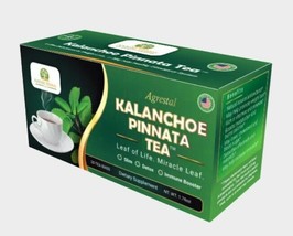 Kalanchoe Pinnata-Leaf of Life (Bryophyllum Pinnatum) Tea. 1 Box. Antioxidantes  - £20.03 GBP