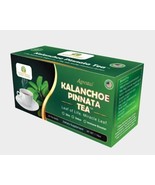 Kalanchoe Pinnata-Leaf of Life (Bryophyllum Pinnatum) Tea. 1 Box. Antiox... - £19.97 GBP